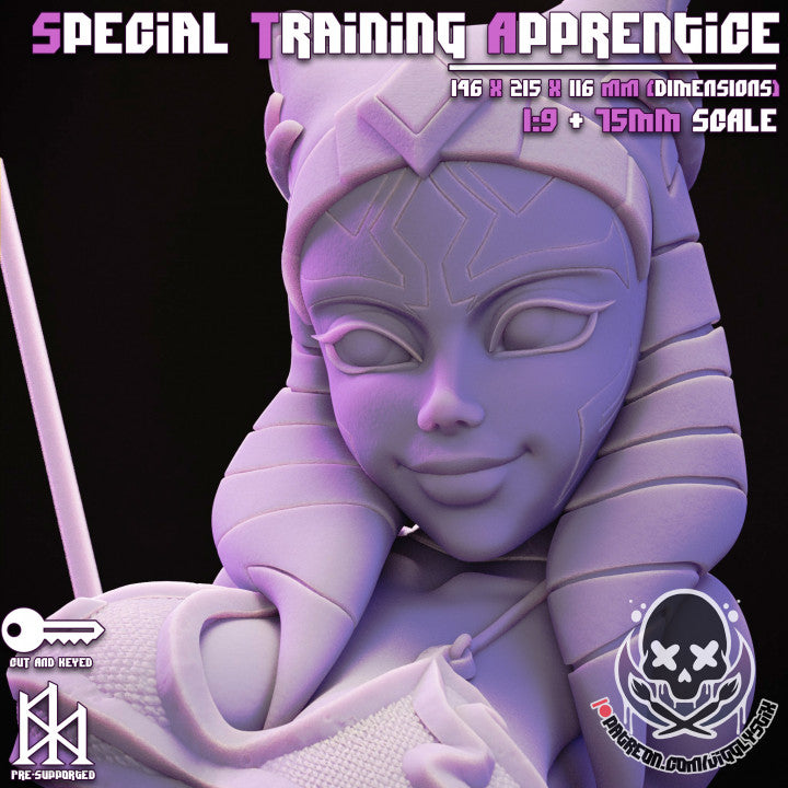 Special Training Apprentice