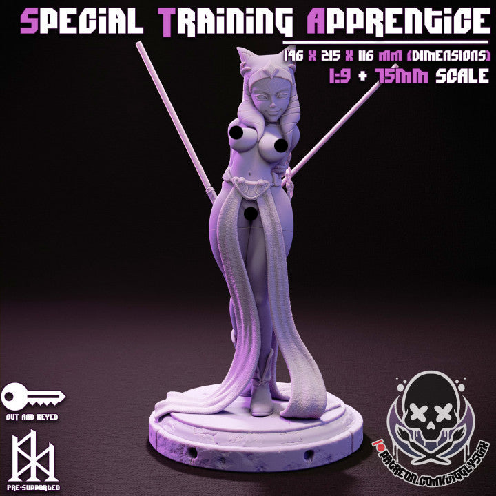 Special Training Apprentice